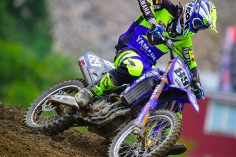 156-Van-Horebeek-color