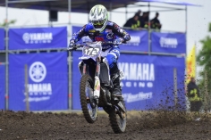 175-F8QLF2PT8V6EPQK78RX7