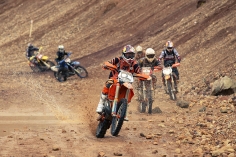 200-54234_TADDY_BLAZUSIAK