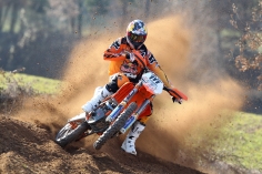 206-Taddy-blazusiak-1