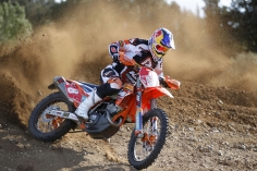 212-Antoine-Meo-Bio7