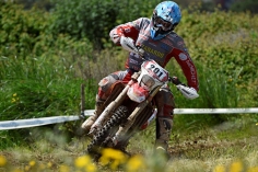 251-2014-04-28_battig