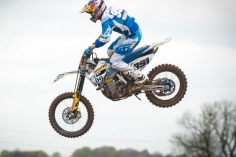 317-Watson_FatCat_image_3_a9524b3a7d